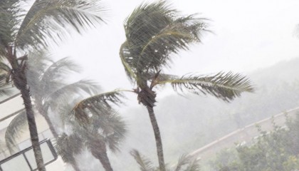 wind-excess-wind-burns-and-wilcox