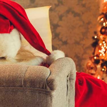 Insuring Santa Claus