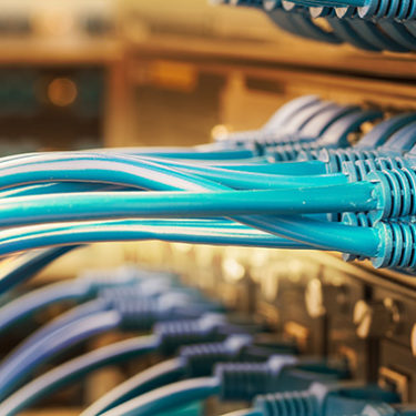 License Plate Photos Compromised in US Customs Contractor Cyberattack