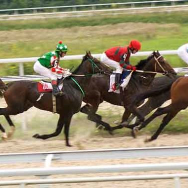 In Horse Racing, Kentucky Derby Is Just the Beginning