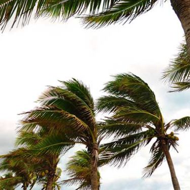 Prepare Clients for Hurricane Season with Five Wind Insurance Tips