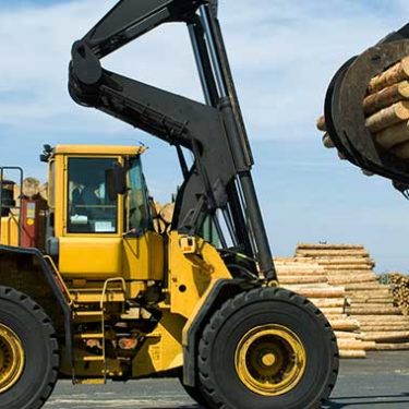 Logging and Lumbering Insurance