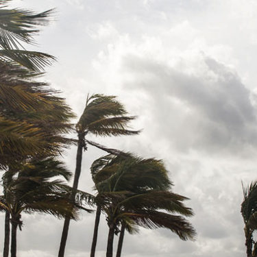 What to Know About Wind Coverage in Coastal States