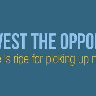 Harvest the Opportunity. Why the Time is Ripe for Picking up New Business.