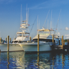 Big Fish: Four Boats, Three Ownership Entities, Three Docking Locations