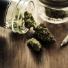 Cannabis