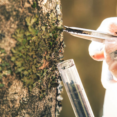 Ask the Expert Q&A: Environmental Insurance
