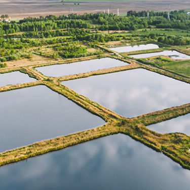 Piney Point Wastewater Cleanup Near Tampa Bay Could Cost $200 Million