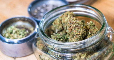 Burns & Wilcox Hires Jason Scheurle to Lead Cannabis Practice