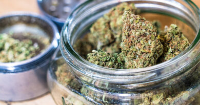 Help Cannabis Business Owners Understand Their Insurance Requirements