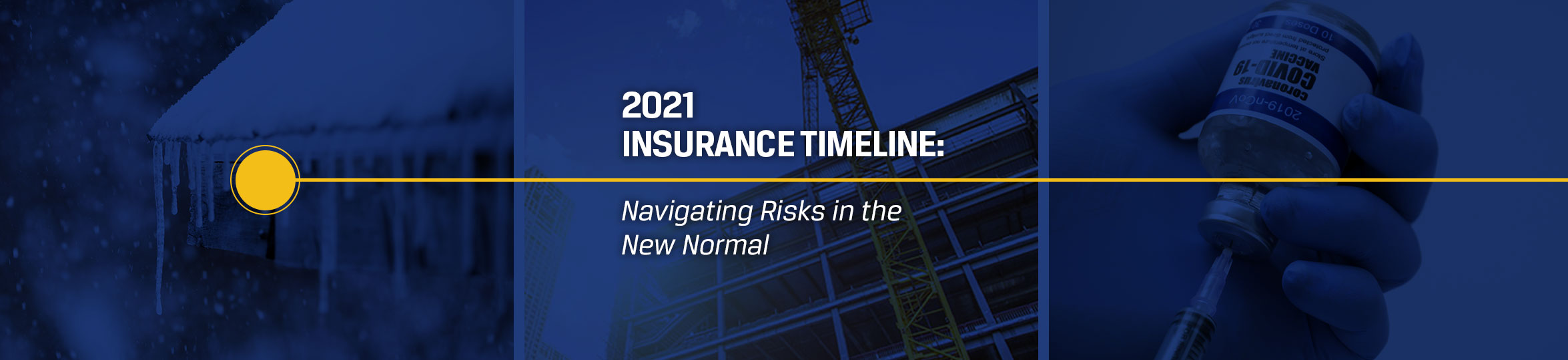 IMS 2021 Timeline WP 20201214