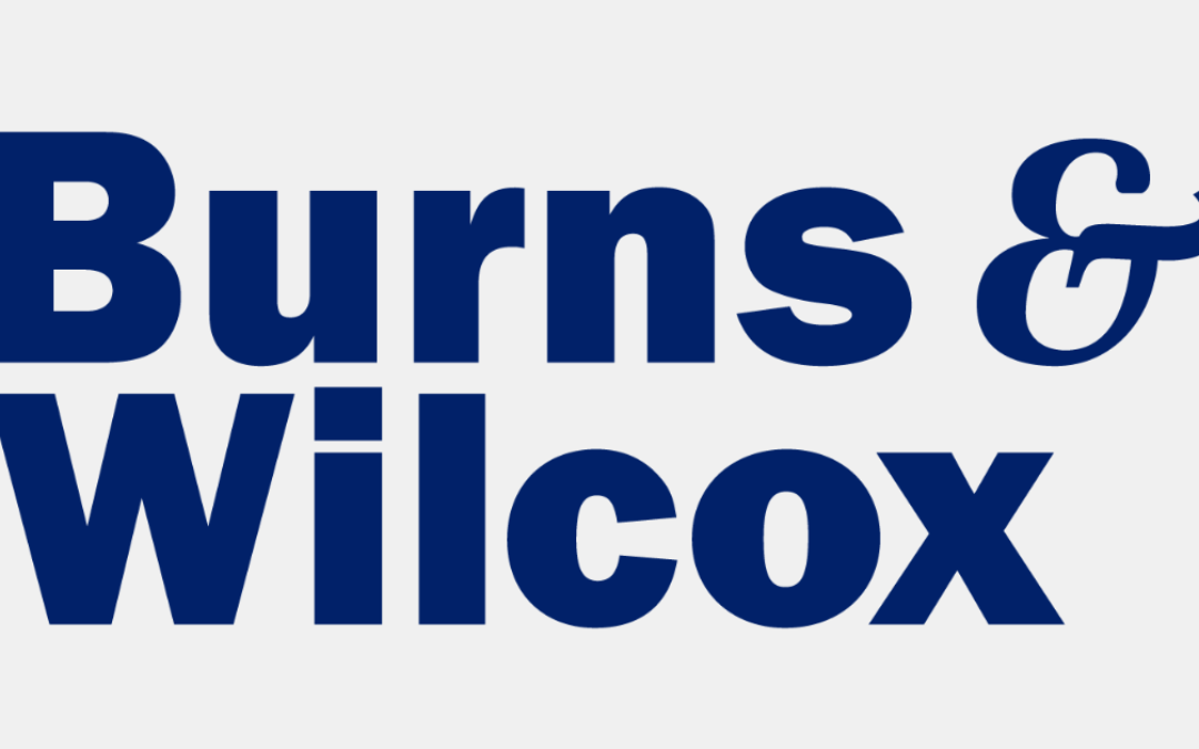 Burns & Wilcox Blue Logo