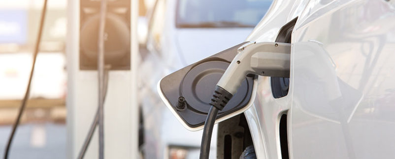 Tesla Recalls Over 1 Million Vehicles Over Worries Windows Could Cause a Pinch