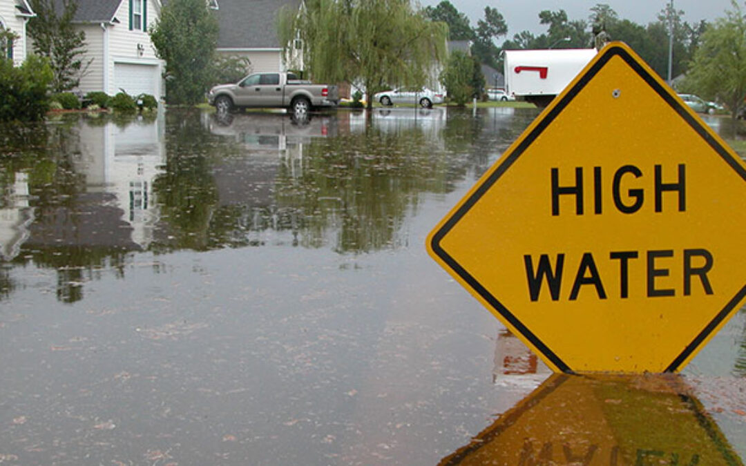 Flood Insurance Market Overview
