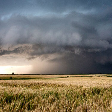 From Hurricanes to Tornadoes, 2023 Marks Another Record-Breaking Year for Severe Weather