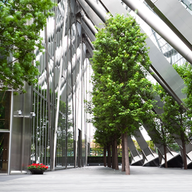 Video: Commercial Property Outlook Q3 2024