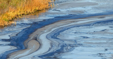 Burns & Wilcox: Environmental Insurance Market Faces PFAS Fallout and Tightening Capacity