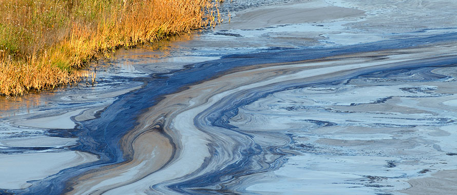 Environmental WP