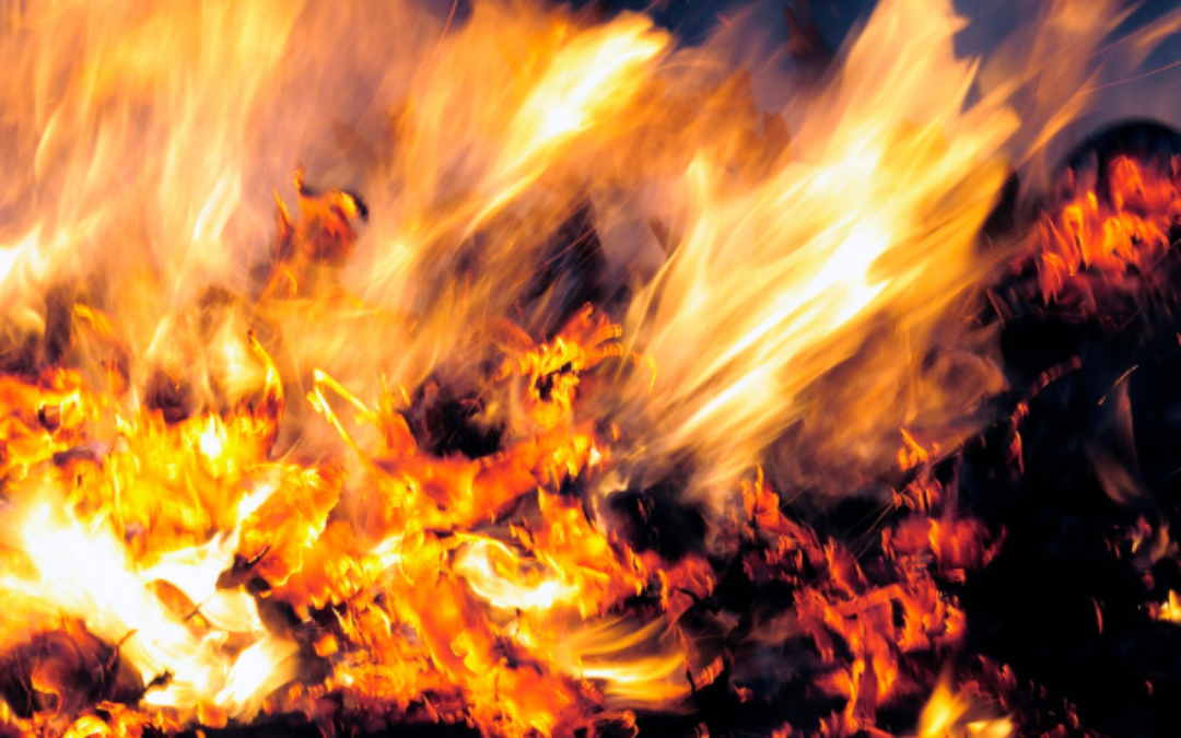 Wildfire