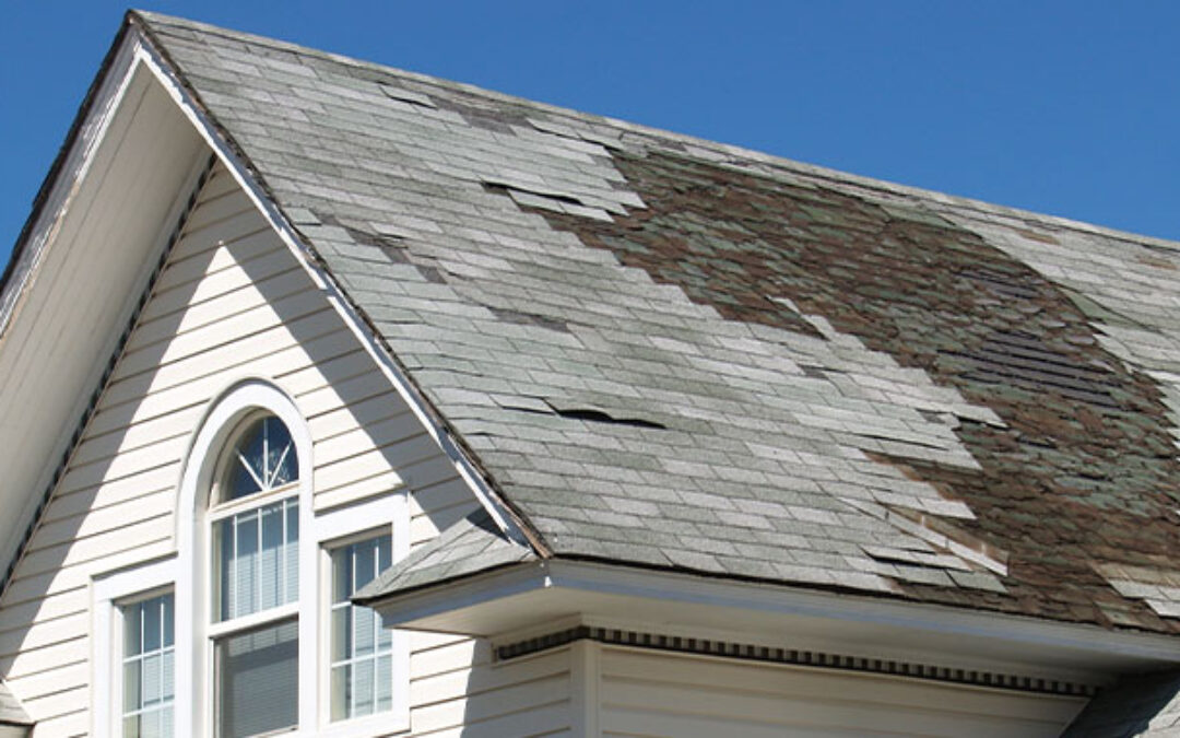 Know Your Policy: Homeowners’ Insurance Terms for Roof-Related Risks