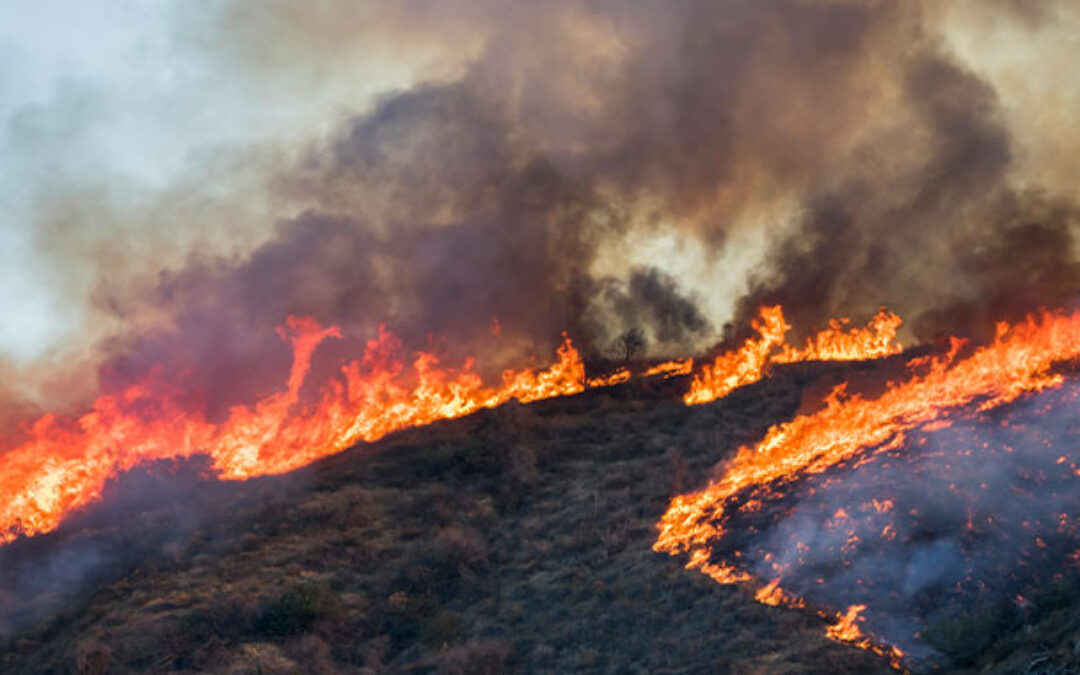 California Wildfire Recovery: A Guide to Insurance Claims, Rebuilding