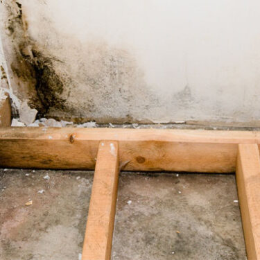 $10M Suit Filed by Moderna Over Mold, Water Damage at Manufacturing Facility