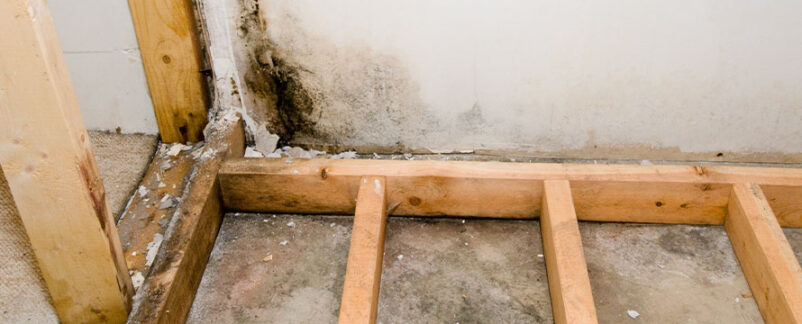 $10M Suit Filed by Moderna Over Mold, Water Damage at Manufacturing Facility