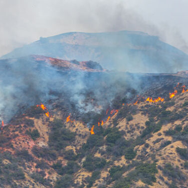 2025 Wildfire Season Outlook: Mitigation Key as Risk Spreads