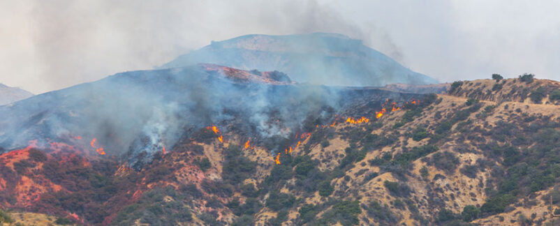 2025 Wildfire Season Outlook: Mitigation Key as Risk Spreads