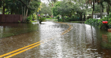 Exclusive: Burns & Wilcox Launches Parametric Flood Product backed by Atain and Floodbase