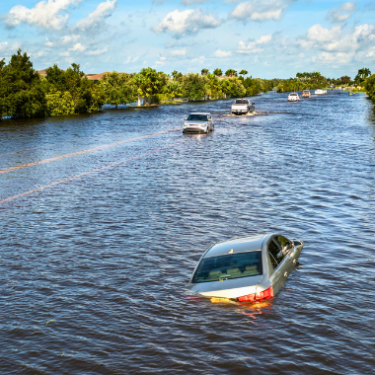 Video: Flood Market Opportunities