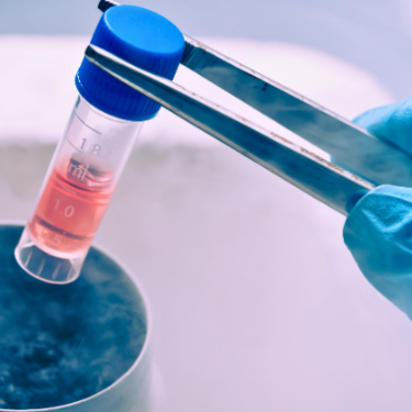 Video: Healthcare Liability – Marketing Risks