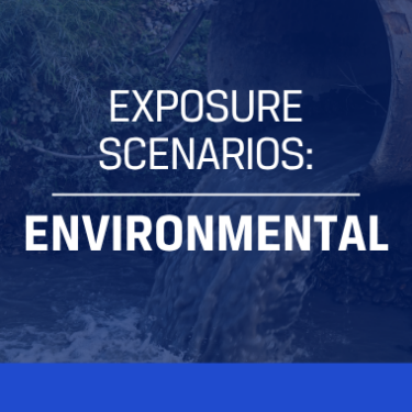 Environmental Exposure Scenarios