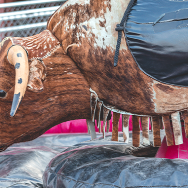 $16M Verdict Follows Mechanical Bull Injury at Bar